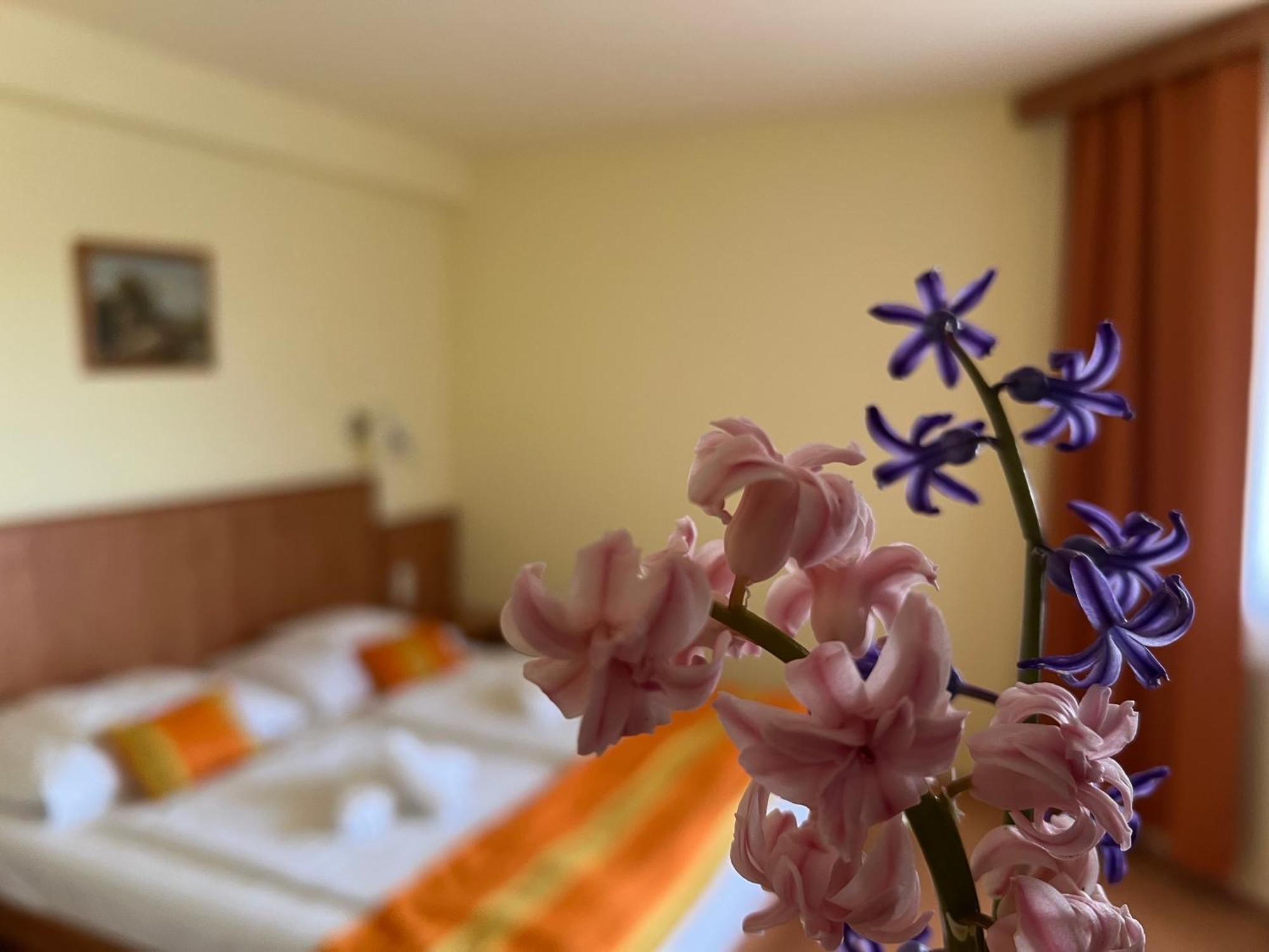 Aqua Therm Hotel ซาลาคาโรส ภายนอก รูปภาพ