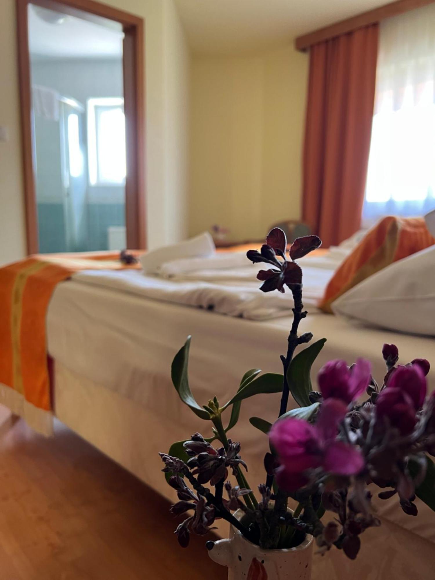 Aqua Therm Hotel ซาลาคาโรส ภายนอก รูปภาพ